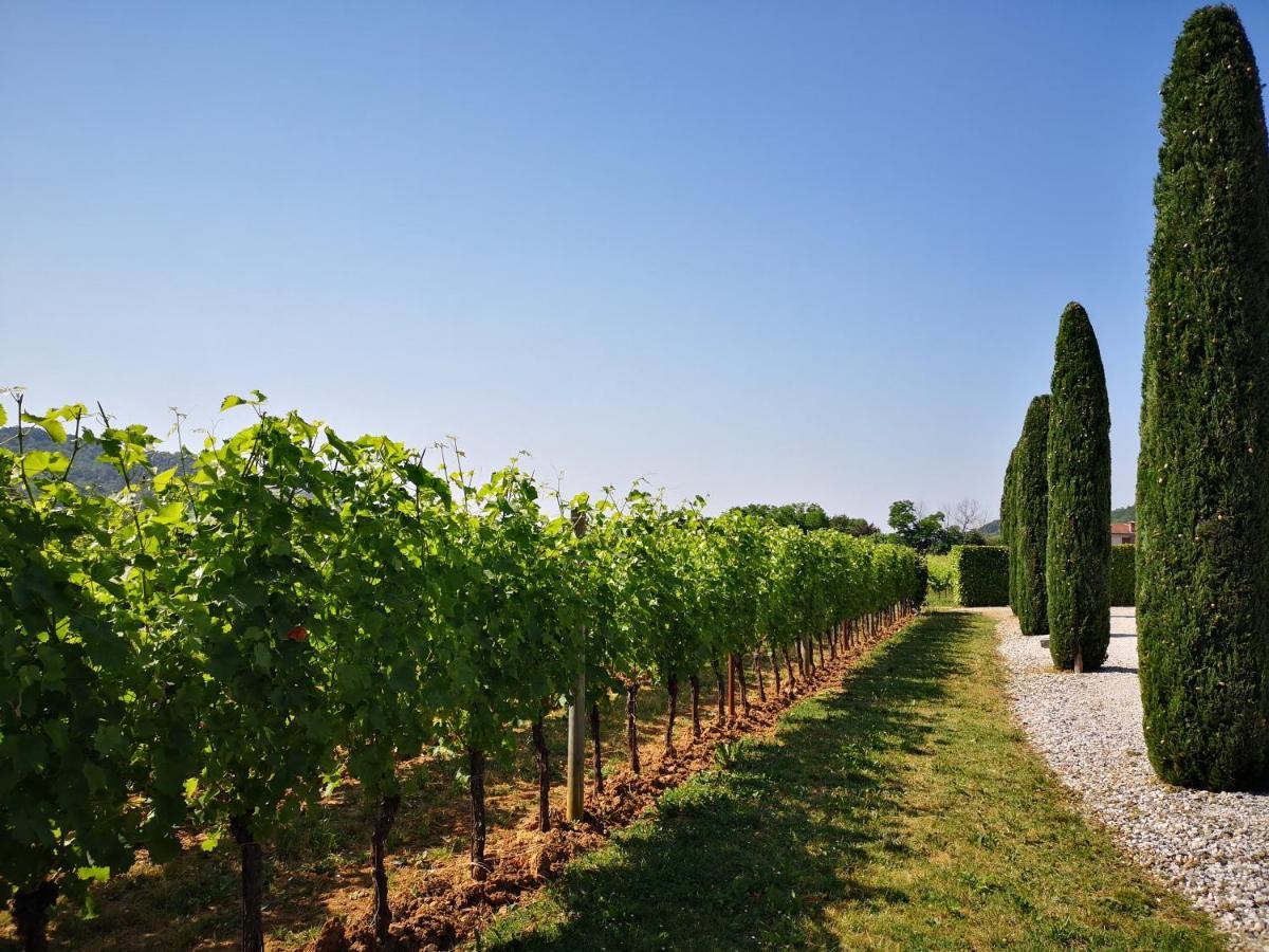 Вилла Pizzulin - Wine & Living Prepotto  Экстерьер фото