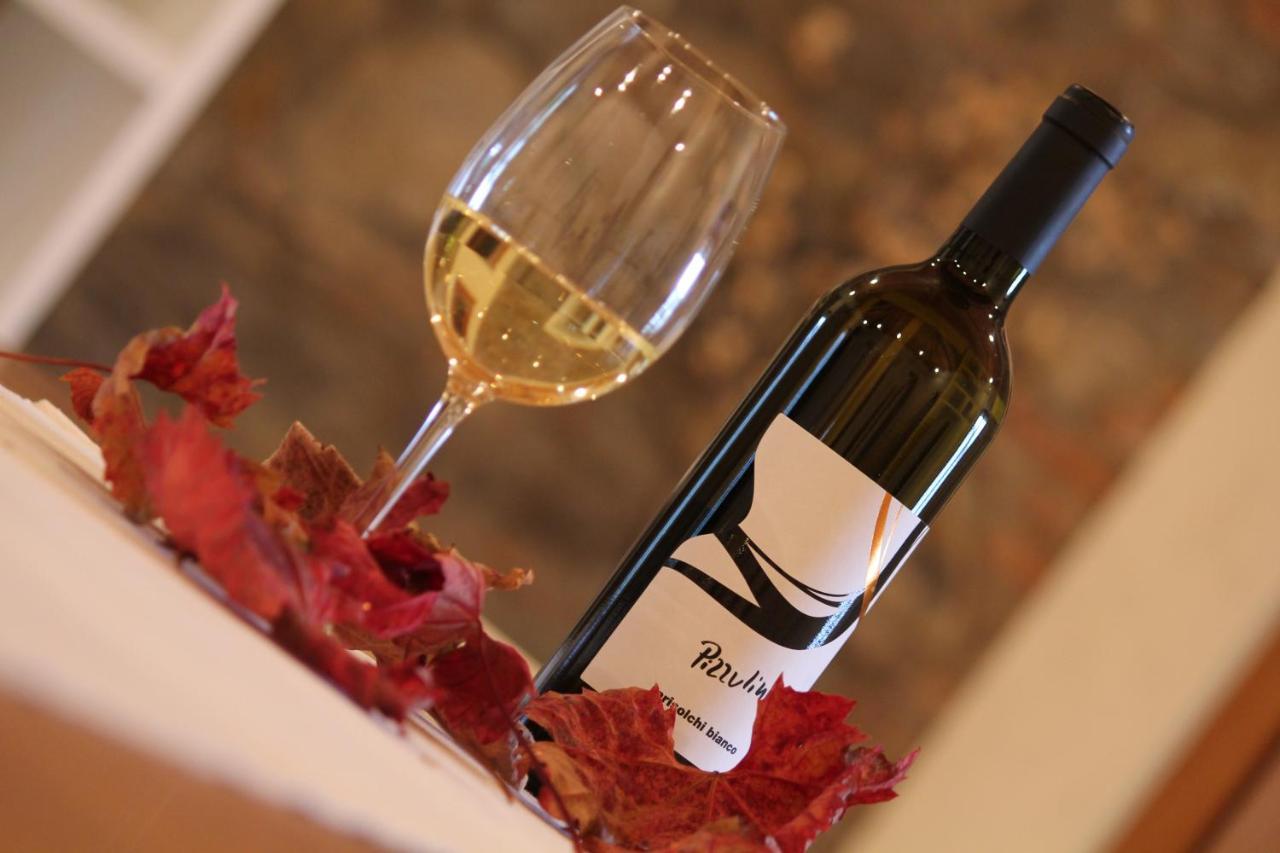 Вилла Pizzulin - Wine & Living Prepotto  Экстерьер фото